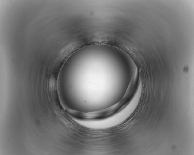 X0000094230623200711021204