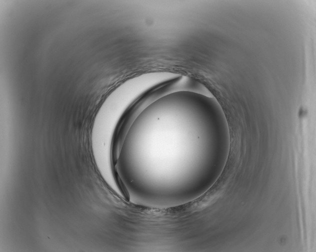 X0000094230624200711021204