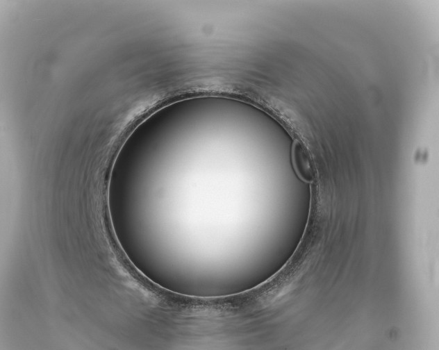 X0000094230625200711021203