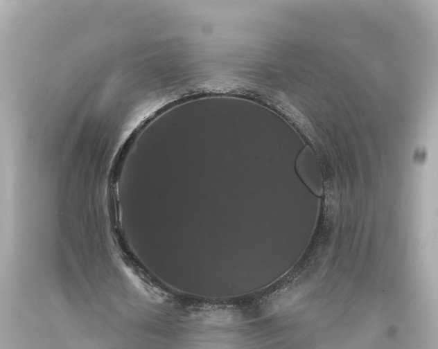 X0000094230626200711021203