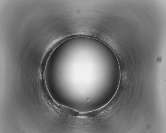 X0000094230628200711021203