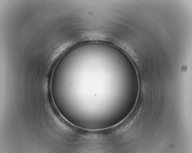 X0000094230629200711021203