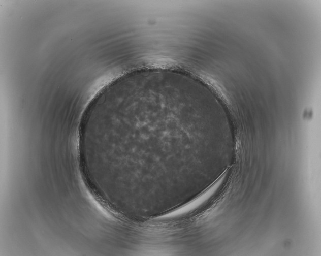 X0000094230630200711021203