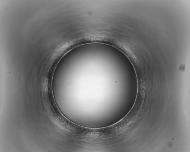 X0000094230631200711021203