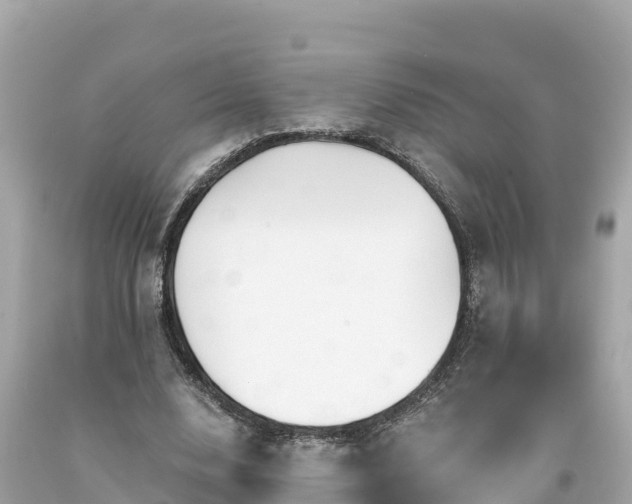 X0000094230632200711021203