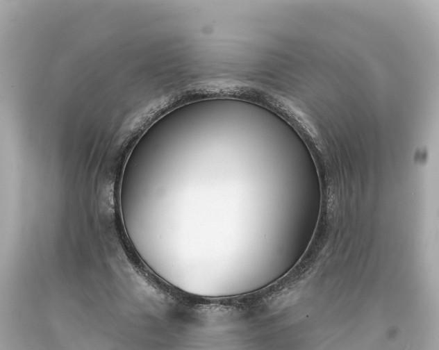 X0000094230633200711021204