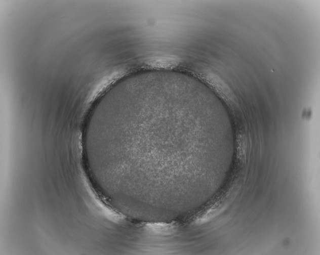 X0000094230634200711021204