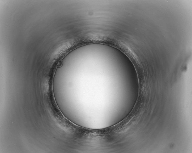 X0000094230635200711021204