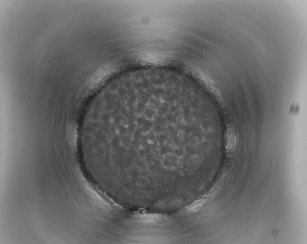 X0000094230637200711021204