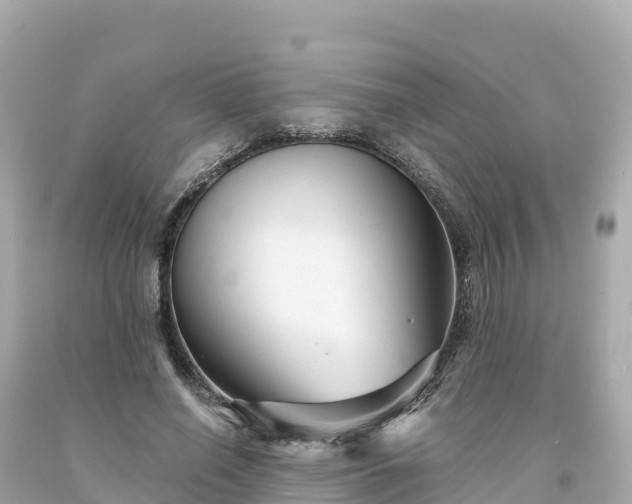 X0000094230638200711021204