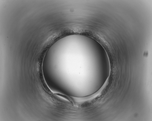 X0000094230639200711021204