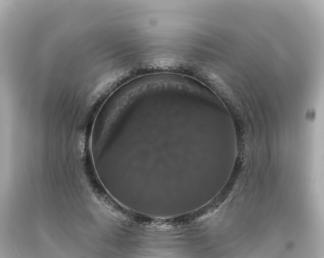 X0000094230640200711021204