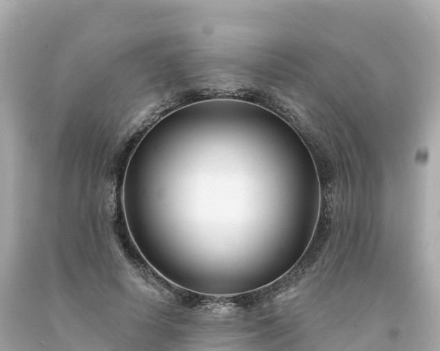 X0000094230642200711021204