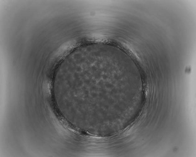 X0000094230643200711021204