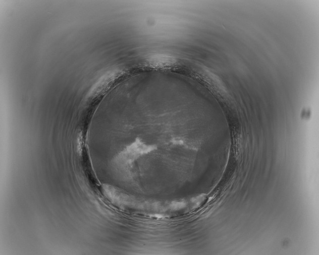 X0000094230644200711021204