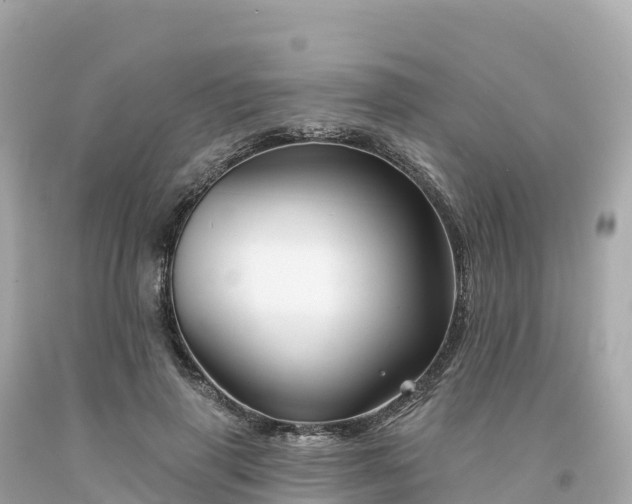 X0000094230645200711021204