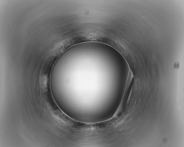 X0000094230646200711021204