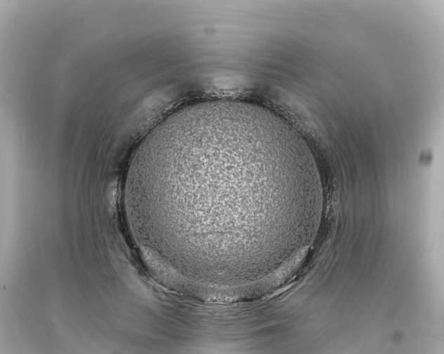 X0000094230647200711021204