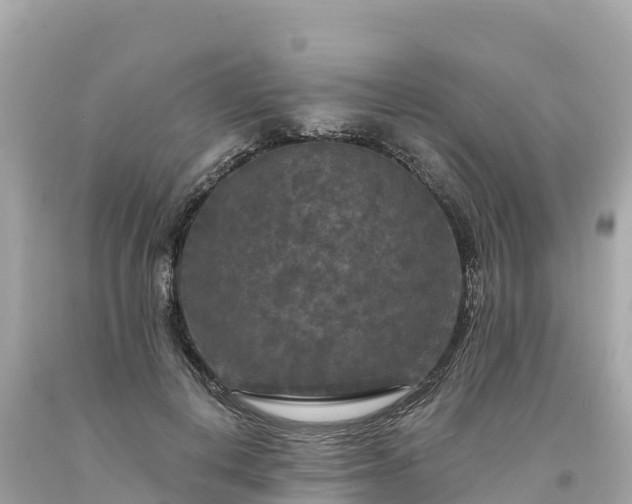 X0000094230648200711021204