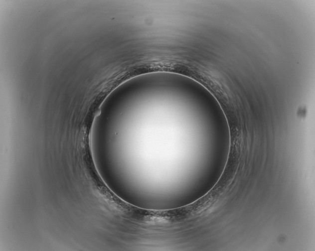 X0000094230649200711021204