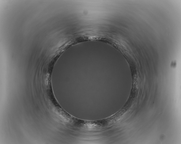 X0000094230650200711021204