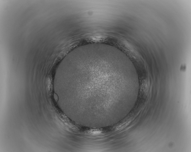 X0000094230651200711021204