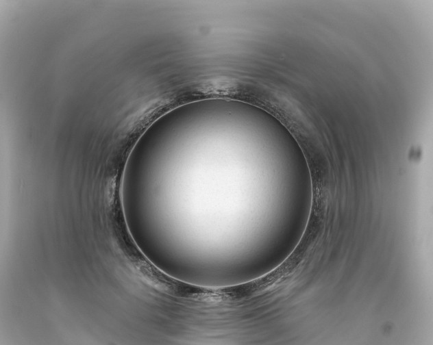 X0000094230652200711021204