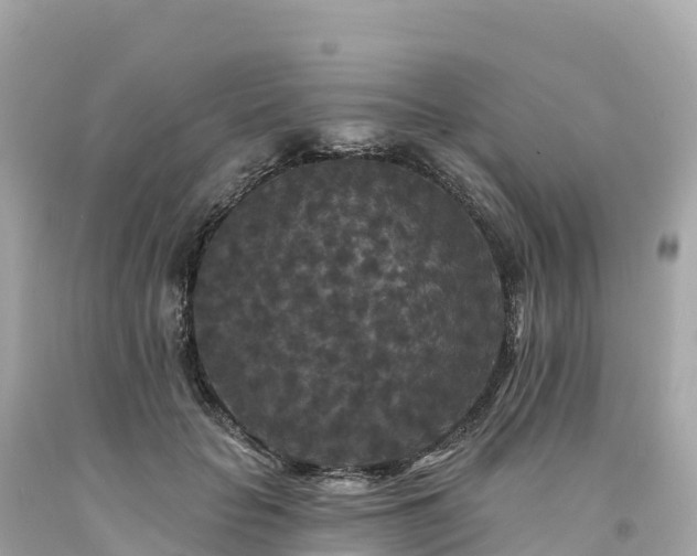 X0000094230653200711021204