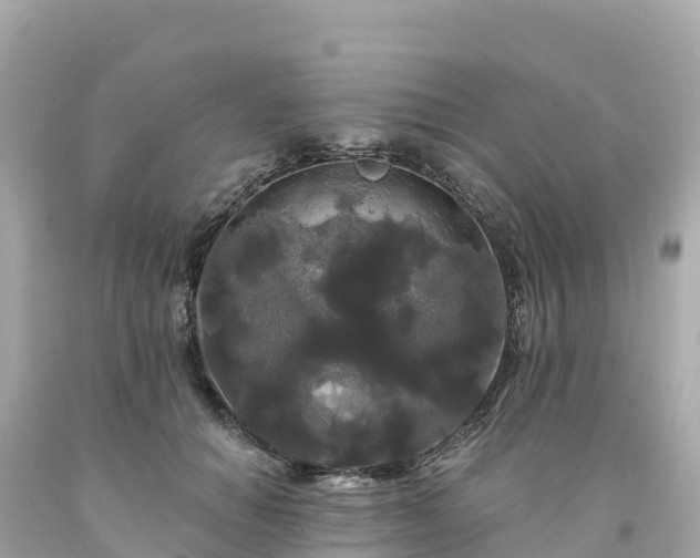 X0000094230654200711021204