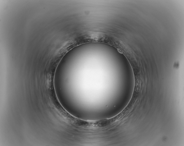 X0000094230656200711021204