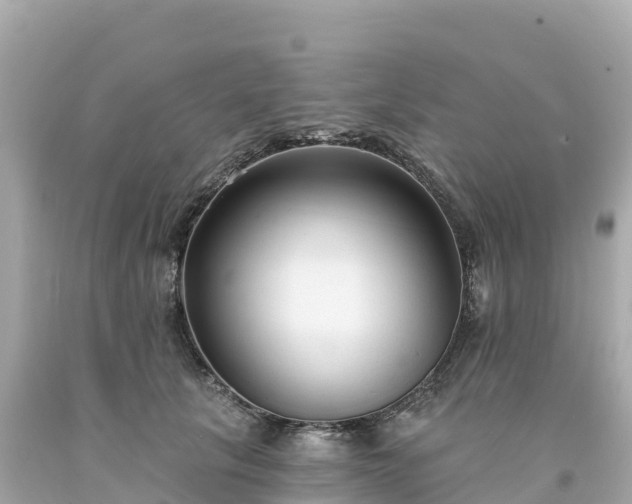 X0000094230657200711021204