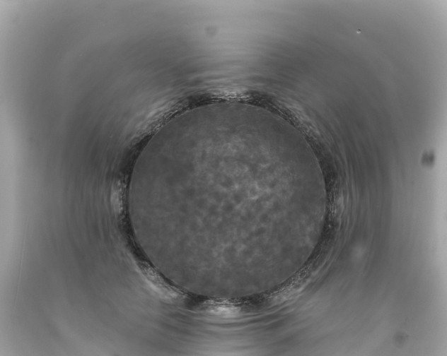 X0000094230658200711021204