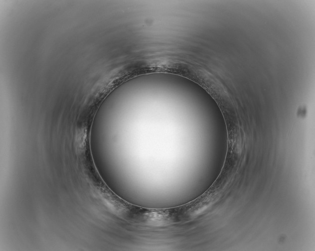 X0000094230660200711021204