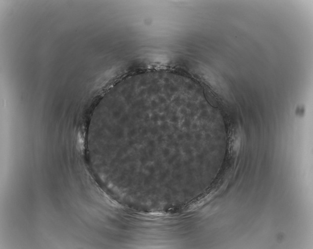 X0000094230661200711021204