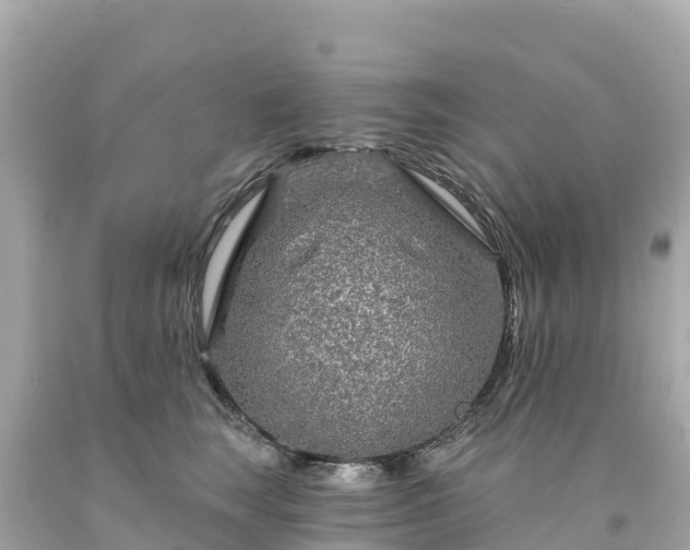 X0000094230663200711021204