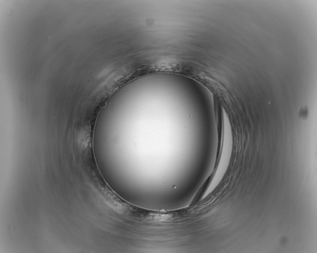 X0000094230665200711021204