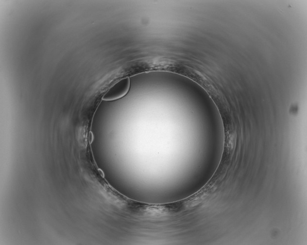 X0000094230666200711021204