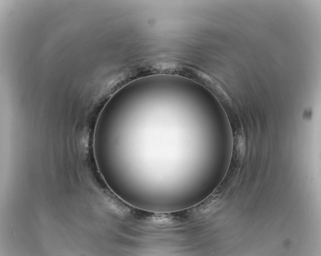 X0000094230668200711021204