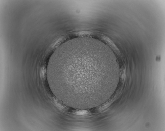 X0000094230669200711021204