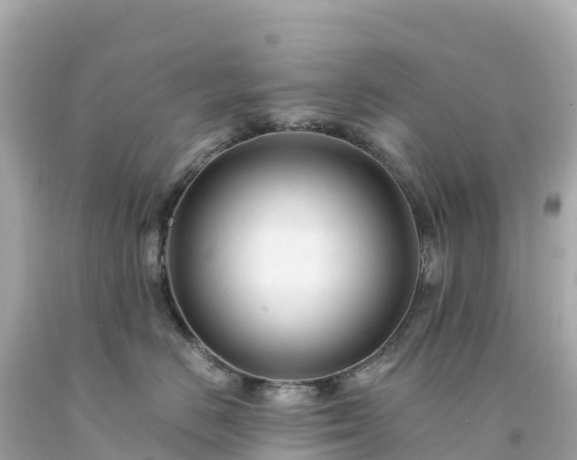 X0000094230670200711021204