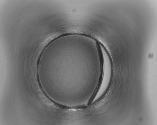 X0000094230673200711021203