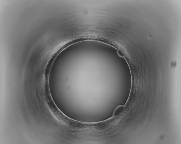 X0000094230674200711021203