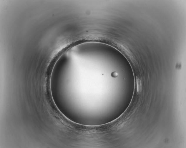 X0000094230675200711021203