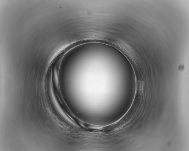 X0000094230676200711021203