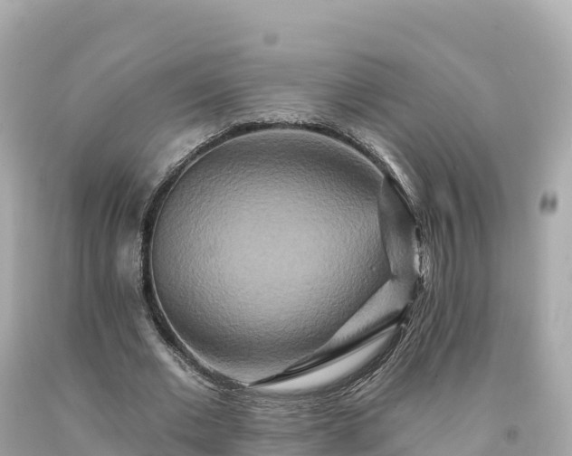 X0000094230677200711021203