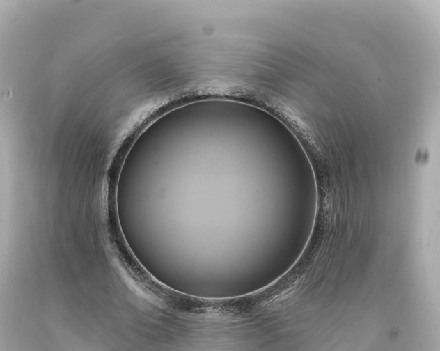 X0000094230678200711021203