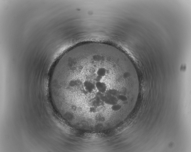 X0000094230679200711021203