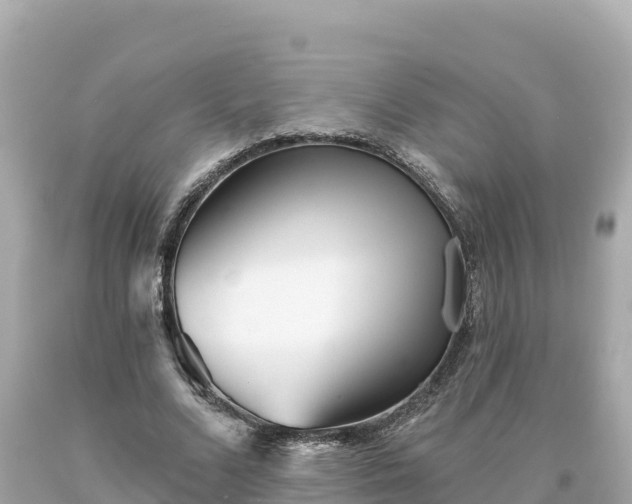 X0000094230680200711021203