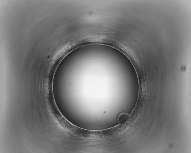 X0000094230682200711021203