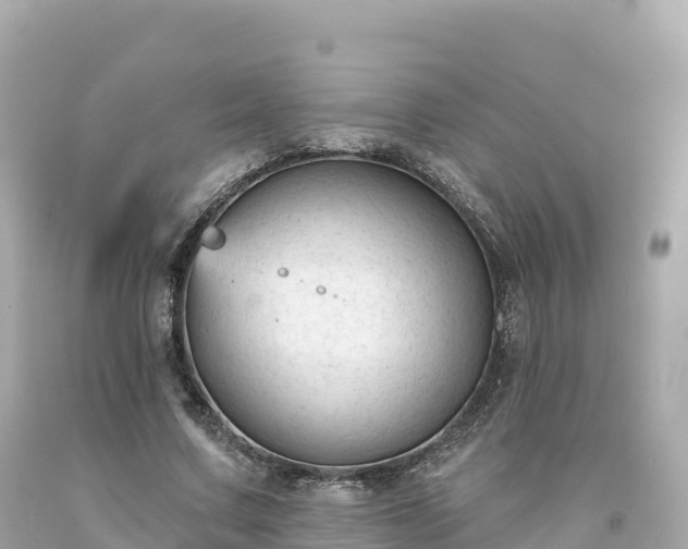 X0000094230683200711021203